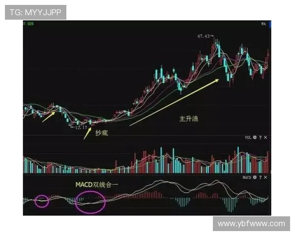 爆料:小卡获2000万股票看跌期权 下跌也不受损 爆料:小卡获2000万股票看跌期权 下跌也不受损